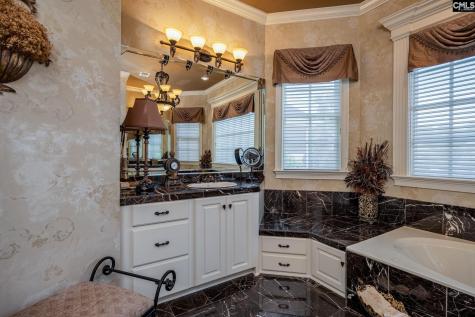 120 Pilgrim Point Lexington SC 29072