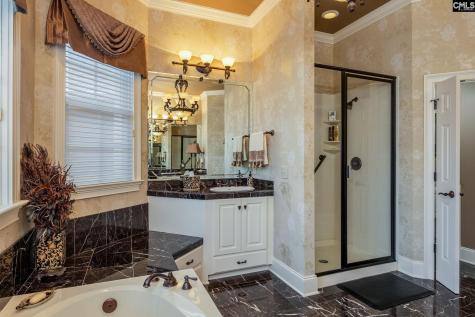 120 Pilgrim Point Lexington SC 29072