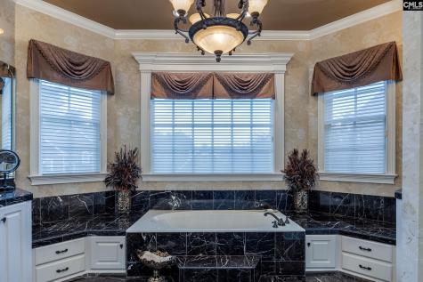 120 Pilgrim Point Lexington SC 29072