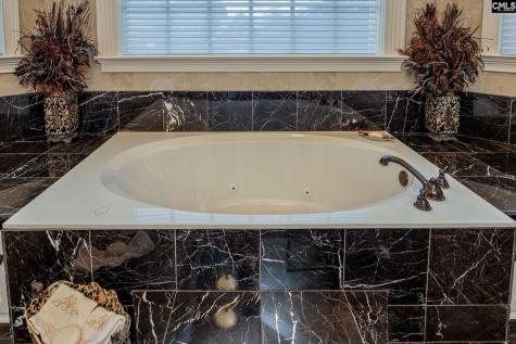 120 Pilgrim Point Lexington SC 29072