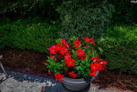 120 Pilgrim Point Lexington SC 29072