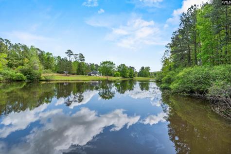 13 Williamstown Court Columbia SC 29212