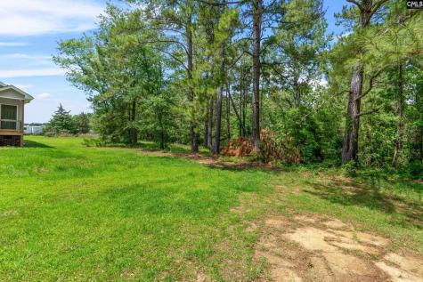 1260 Cedar Creek Road Swansea SC 29160