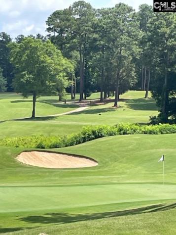 288 Links Crossing Drive Blythewood SC 29016