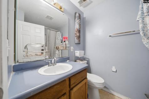 102 Skyhawk Road Irmo SC 29063