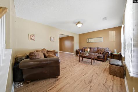102 Skyhawk Road Irmo SC 29063