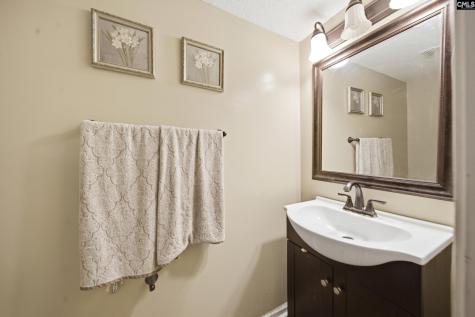 102 Skyhawk Road Irmo SC 29063