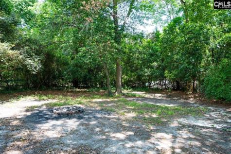 1009 Kirkwood Circle Camden SC 29020