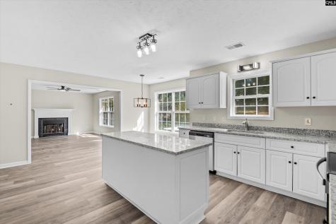 1528 Knotts Haven Trail Lexington SC 29073