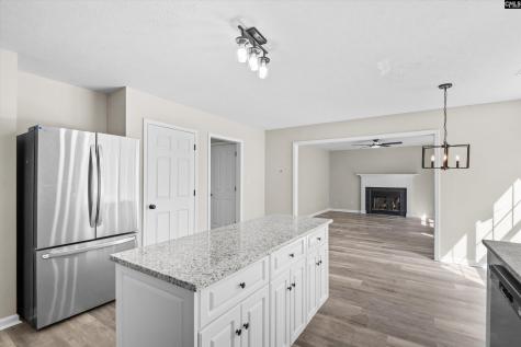 1528 Knotts Haven Trail Lexington SC 29073