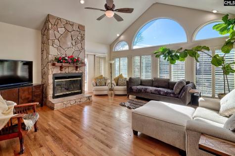 124 Cove Court Irmo SC 29063