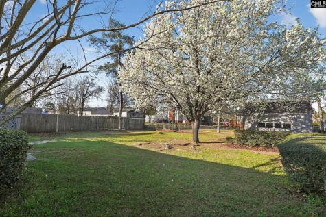 309 Firebrick Lane Columbia SC 29229