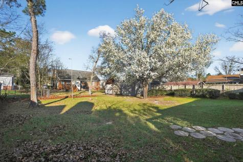 309 Firebrick Lane Columbia SC 29229