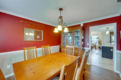 311 Starling View Court Lexington SC 29073