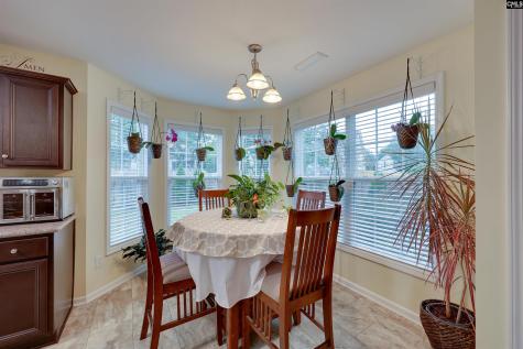 311 Starling View Court Lexington SC 29073