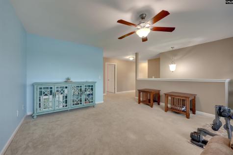 311 Starling View Court Lexington SC 29073