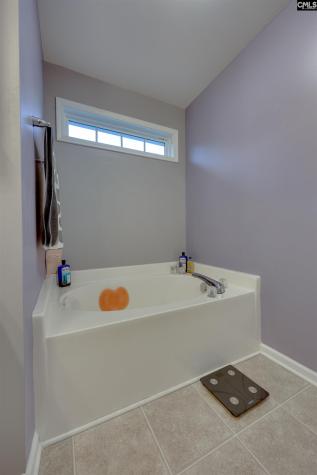 311 Starling View Court Lexington SC 29073