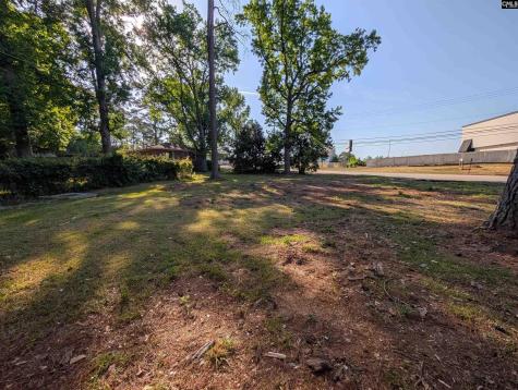 1153 Bakersfield Road Columbia SC 29210