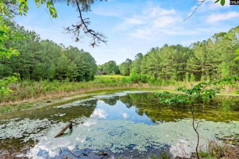 361 Emerald Drive Blythewood SC 29016
