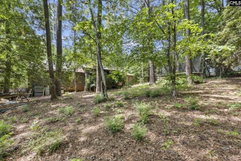 1608 Shortstream Road Columbia SC 29212