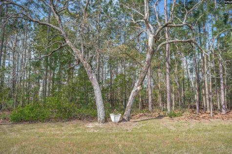 4097 Snaffle Bit Drive Aiken SC 29803