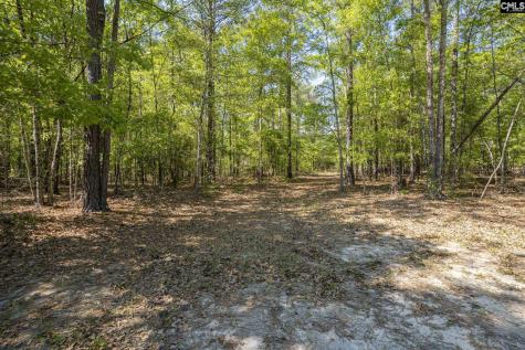 122 E Lonesome Pine Trail Camden SC 29020