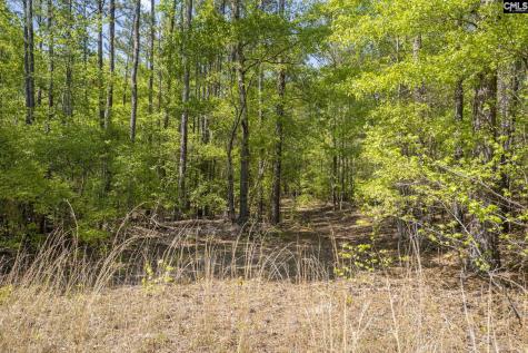 122 E Lonesome Pine Trail Camden SC 29020