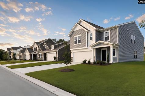 378 Sunnyfalls Drive Gaston SC 29053