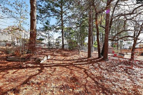 215 Berry Ridge Circle Columbia SC 29229