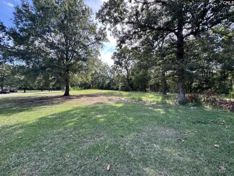 127 Dry Gulch Saluda SC 29138