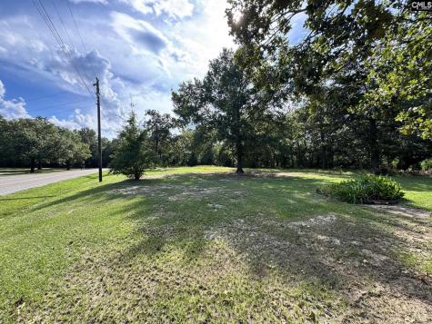 127 Dry Gulch Saluda SC 29138