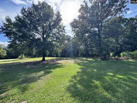 127 Dry Gulch Saluda SC 29138