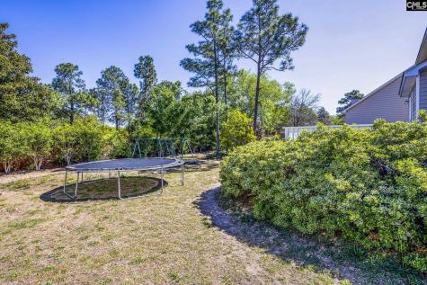 118 Long Ridge Drive Columbia SC 29229