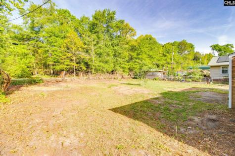 3725 Lochmore Drive Columbia SC 29209