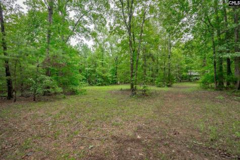 731 Clamp Road Blythewood SC 29016