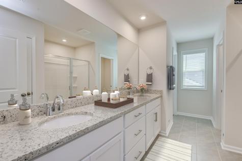 254 Summer Orchard Drive Lexington SC 29072
