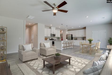 254 Summer Orchard Drive Lexington SC 29072