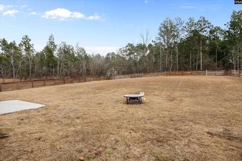 635 Rose Quartz Lane Lexington SC 29073
