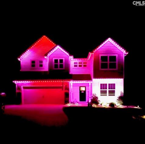222 Sophie Court Lexington SC 29073