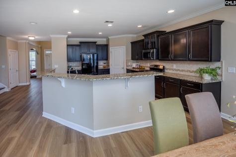 316 Asa Rose Lane Lexington SC 29072