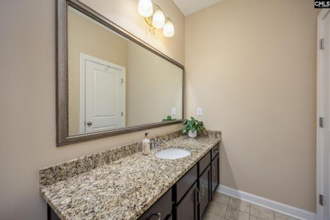 316 Asa Rose Lane Lexington SC 29072