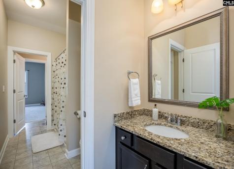 316 Asa Rose Lane Lexington SC 29072