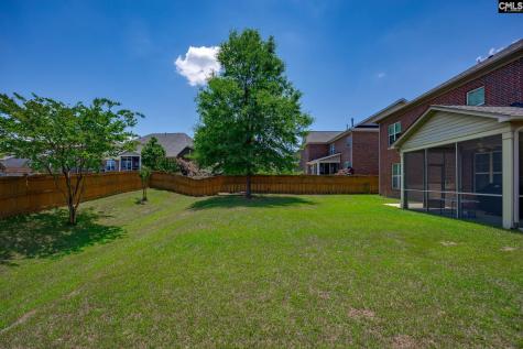 316 Asa Rose Lane Lexington SC 29072