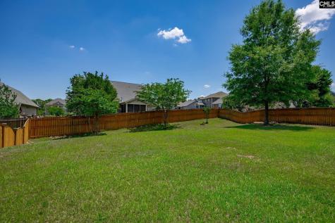 316 Asa Rose Lane Lexington SC 29072