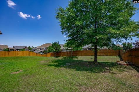 316 Asa Rose Lane Lexington SC 29072