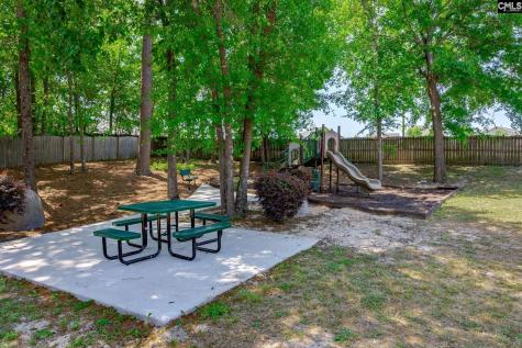 316 Asa Rose Lane Lexington SC 29072