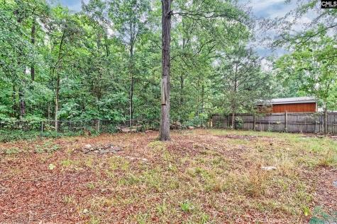 419 Parlock Road Irmo SC 29063