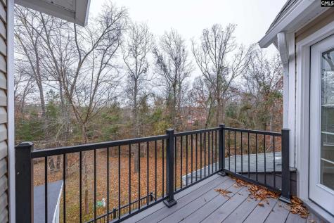 151 Harrison Hill Court Gilbert SC 29054