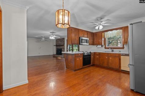 309 Remington Drive Columbia SC 29223