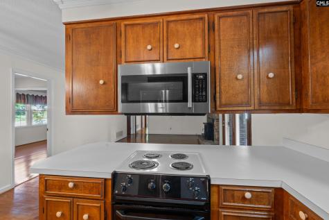 309 Remington Drive Columbia SC 29223